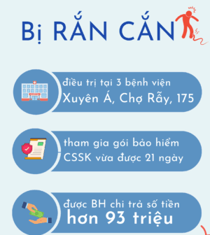 Chi trả ca Rắn cắn 96 triệu